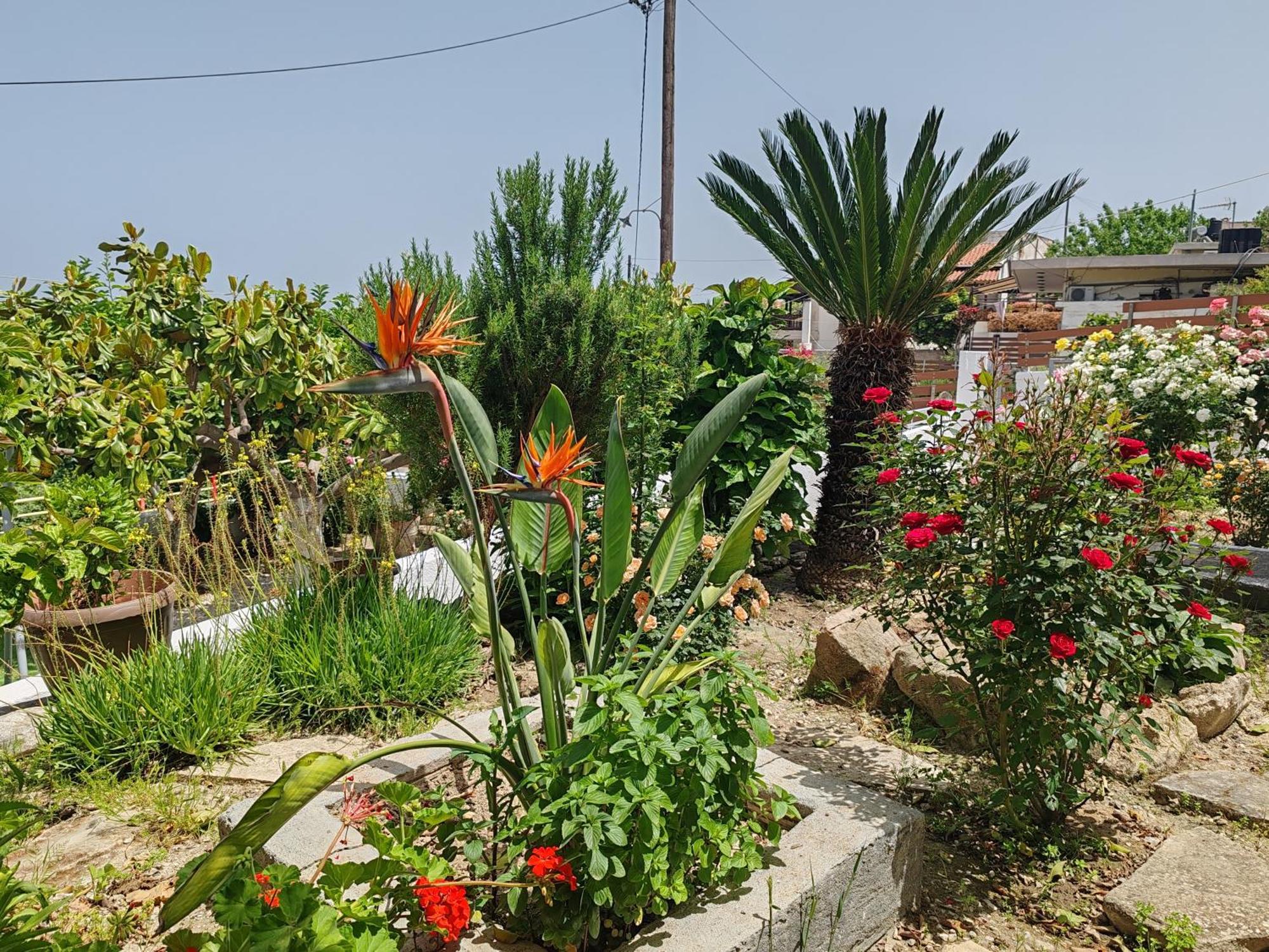 Konstantina'S Fairytale House Villa Kissamos Luaran gambar